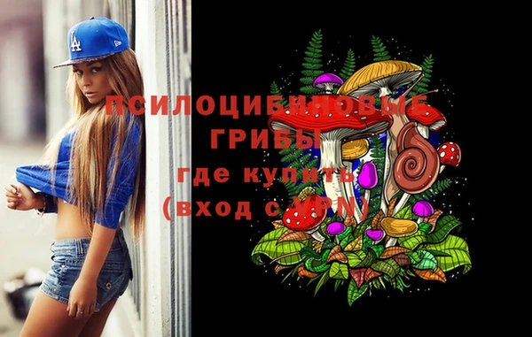 Альфа ПВП Вязьма