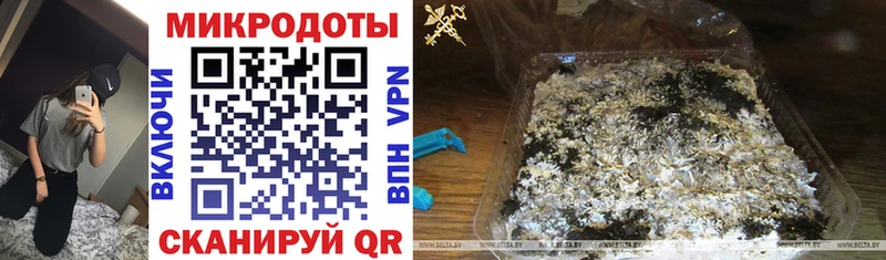 Галлюциногенные грибы Psilocybine cubensis  купить наркотик  Лабытнанги 